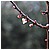 Primavera 120310 02 - 62,7 KB