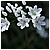 Primavera 210310 04 - 60,0 KB