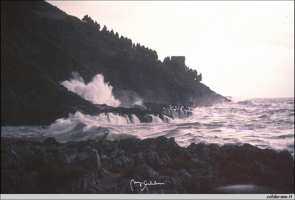 007 Canaleddi.jpg