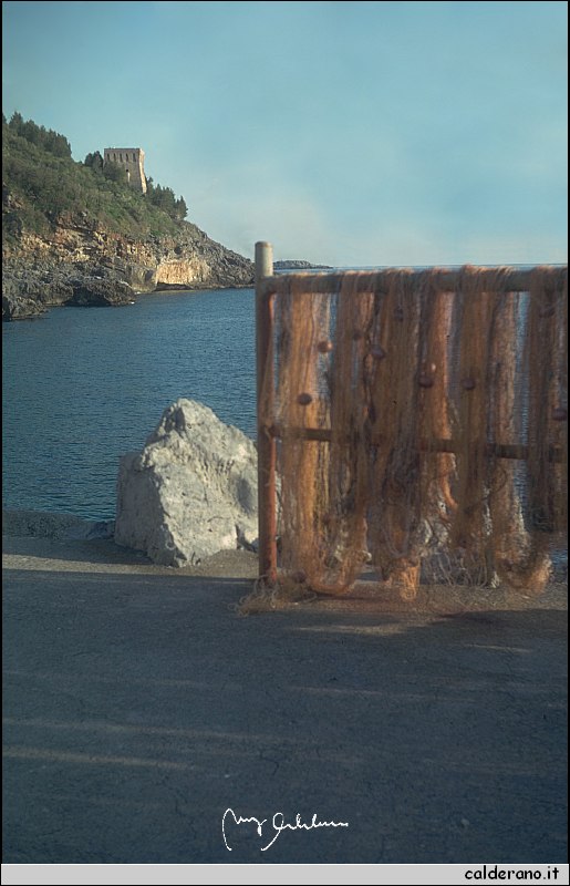 008 Filacara.jpg