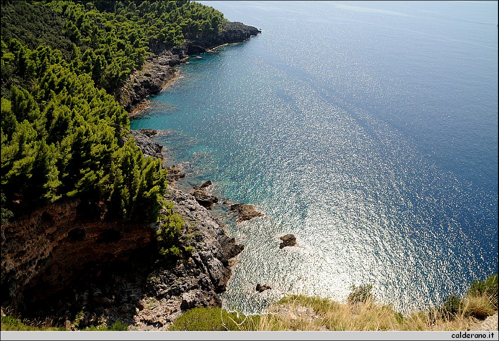 024 Punta Ogliastro.JPG