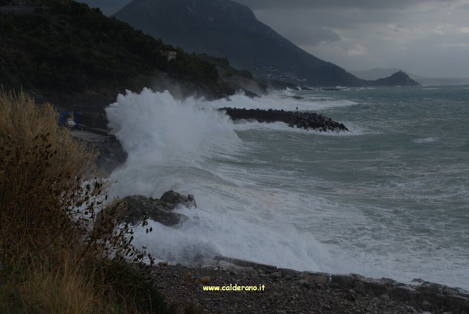 09 Novembre 2008 030.jpg