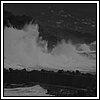 09 Novembre 2008 007.jpg