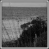 09 Novembre 2008 015.jpg