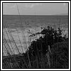 09 Novembre 2008 018.jpg