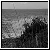 09 Novembre 2008 019.jpg