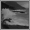 09 Novembre 2008 031.jpg