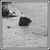 09 Novembre 2008 035.jpg