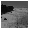 09 Novembre 2008 051.jpg