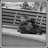 09 Novembre 2008 102.jpg