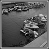 09 Novembre 2008 112.jpg