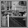 10 Ottobre 2008 015.jpg