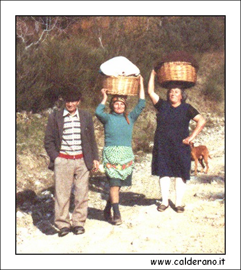 Massaioli.jpg (193 KB)