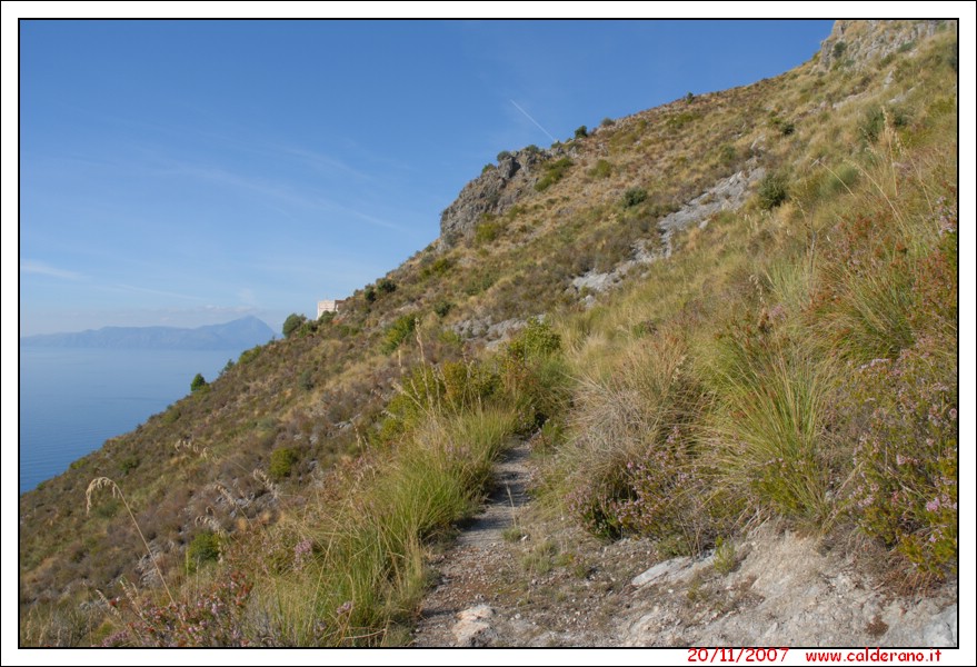 Pietas 082.jpg (4,75 MB)