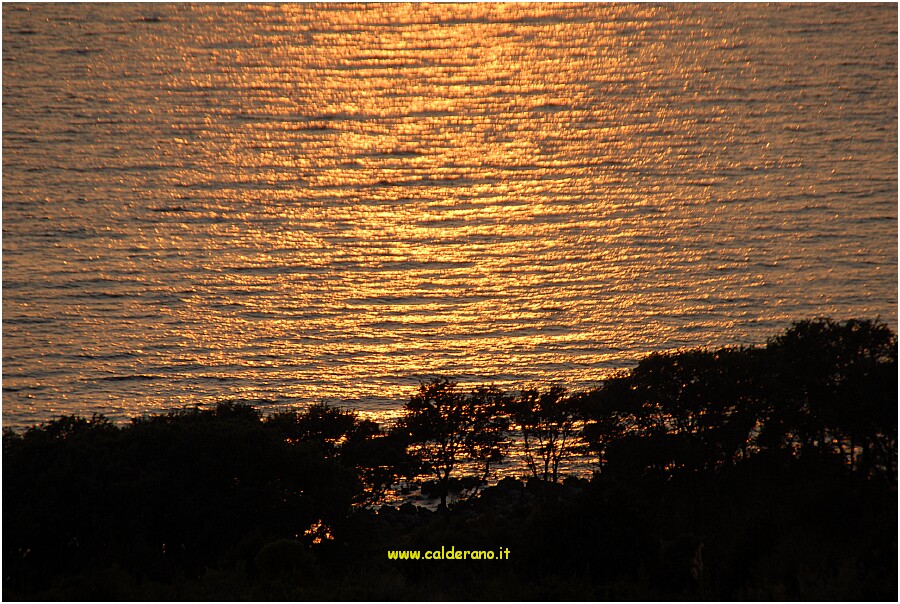 01 Agosto 2008 015.jpg