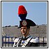 49 Maggio 388 - 118 KB