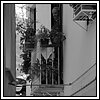 09 Settembre 2008 219.jpg