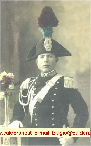 zionicola.jpg (100 KB)