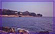 Cali.jpg(206 KB)