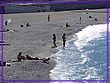 DSC00004.JPG(344 KB)