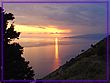 DSC00031.JPG(192 KB)