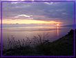 DSC00041.JPG(206 KB)