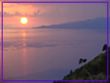 DSC00044.JPG(139 KB)