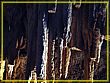 DSC04692.jpg(324 KB)