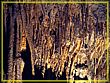 DSC04693.jpg(524 KB)