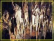 DSC04695.jpg(557 KB)