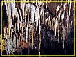 DSC04699.jpg(548 KB)