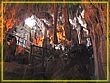DSC04702.jpg(425 KB)