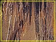 DSC04709.jpg(468 KB)