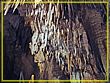 DSC04717.jpg(444 KB)