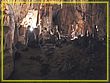 DSC04730.jpg(380 KB)