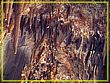 DSC04731.jpg(530 KB)