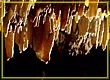 DSC04735a.jpg(123 KB)