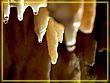 DSC04743.jpg(170 KB)