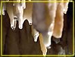DSC04744.jpg(143 KB)