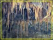 DSC04750.jpg(631 KB)