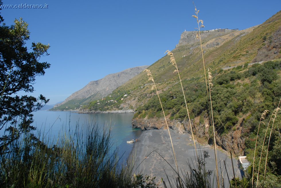 Ilicini 050.jpg