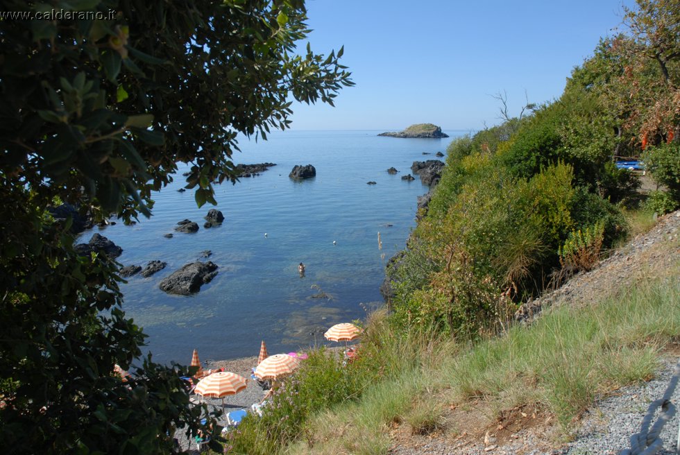 Ilicini 060.jpg