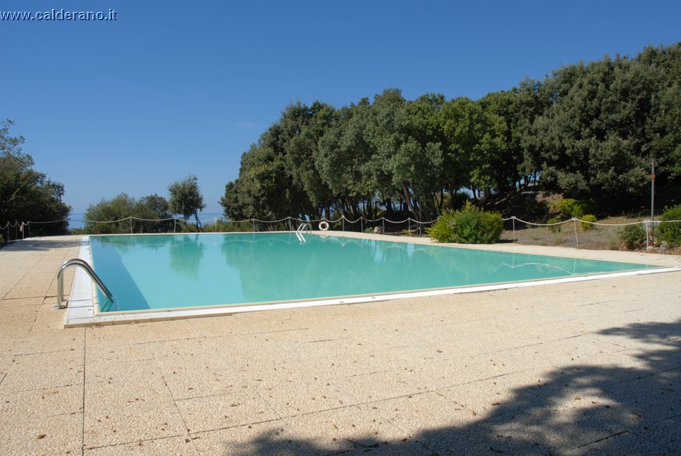 Ilicini 077.jpg