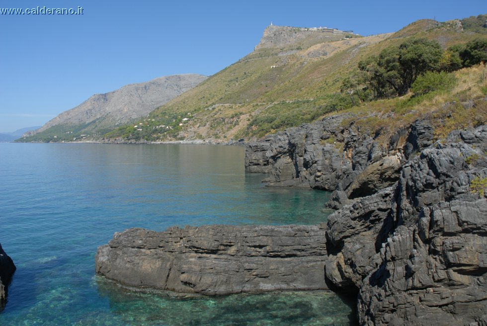Ilicini 090.jpg