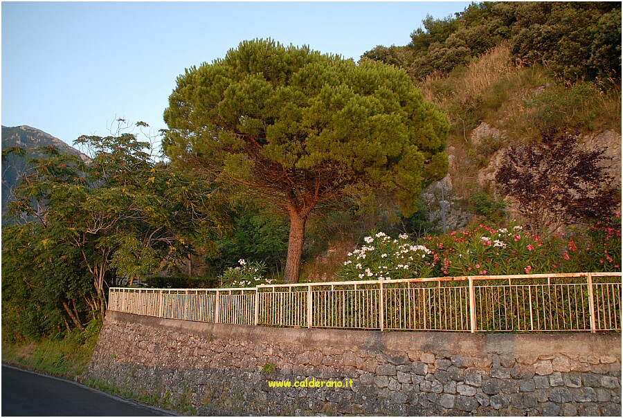 23 20 Luglio 2009 013 201628.JPG