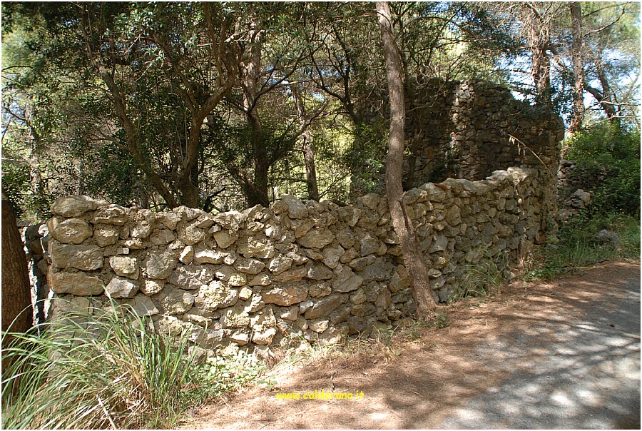 25 20 Luglio 2009 001 113209.JPG