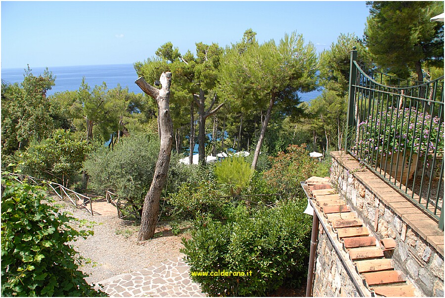 25 20 Luglio 2009 005 113605.JPG