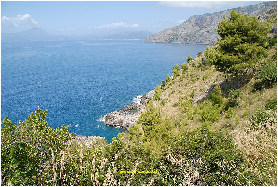 25 20 Luglio 2009 025 115617.JPG