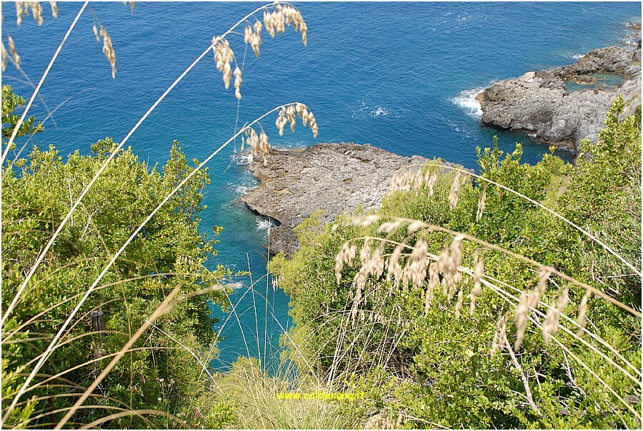 25 20 Luglio 2009 027 115806.JPG