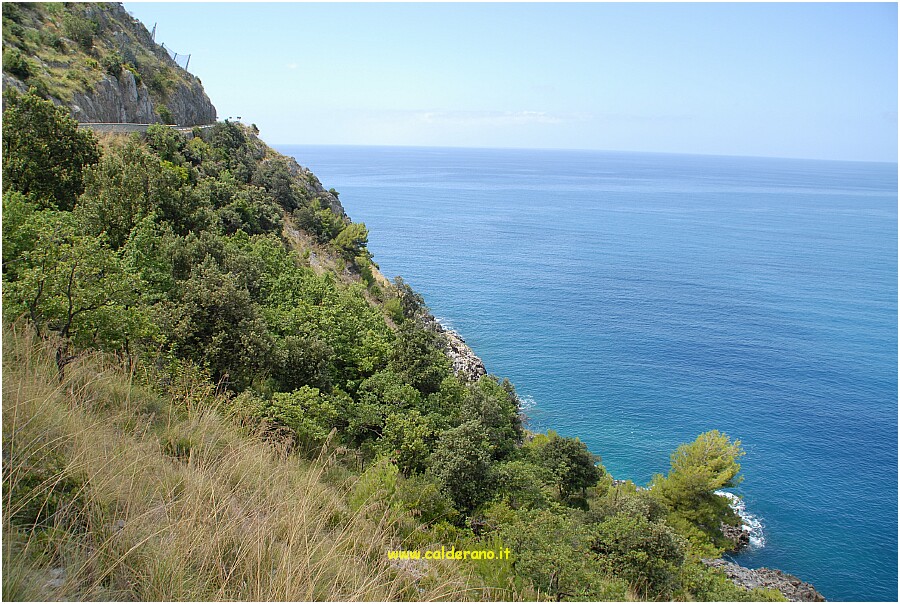 25 20 Luglio 2009 036 120458.JPG